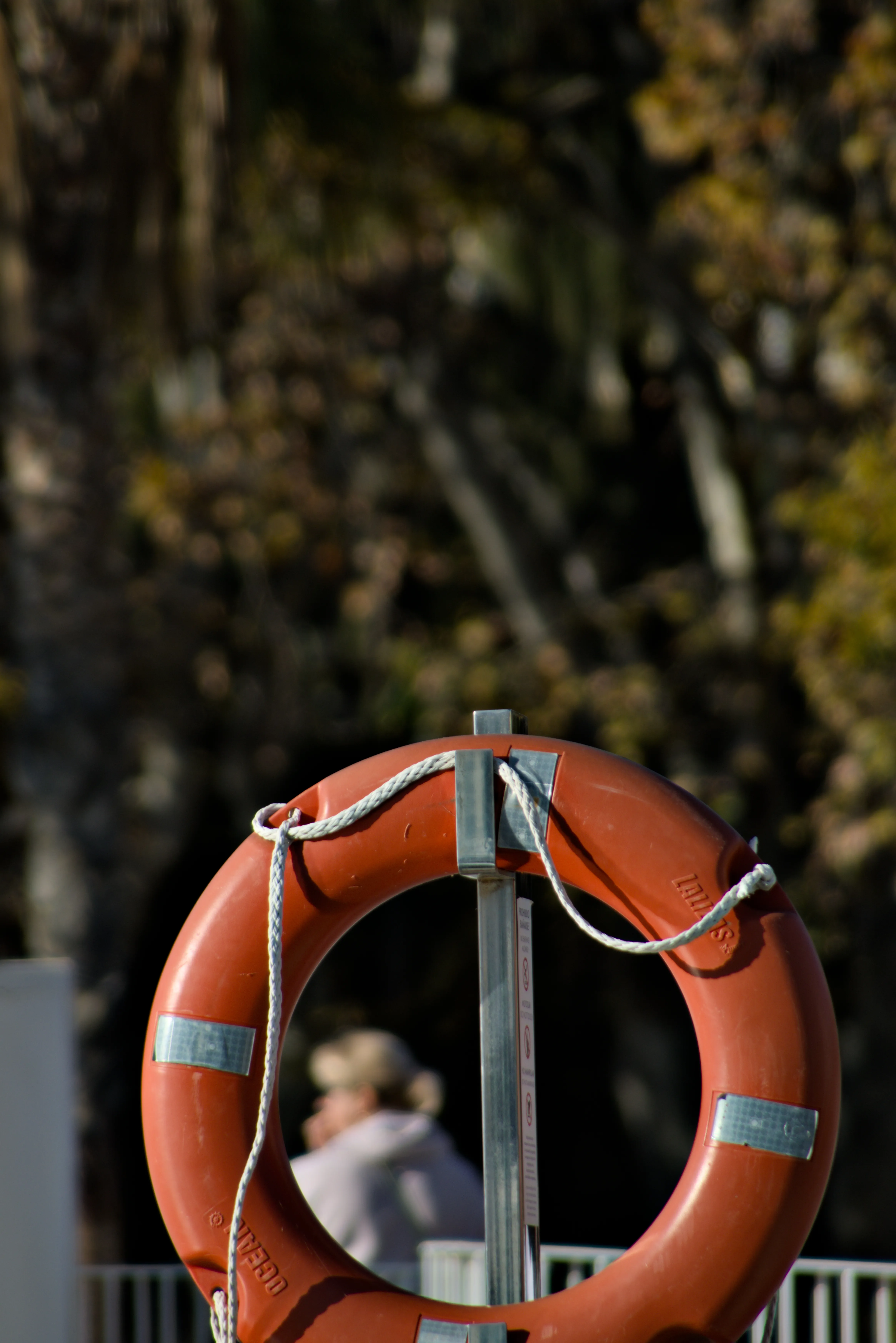 Tamron 28-300mm F3.5-6.3 (EF) - _I4A4150.webp